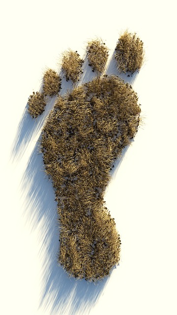 footprint 4124307 640